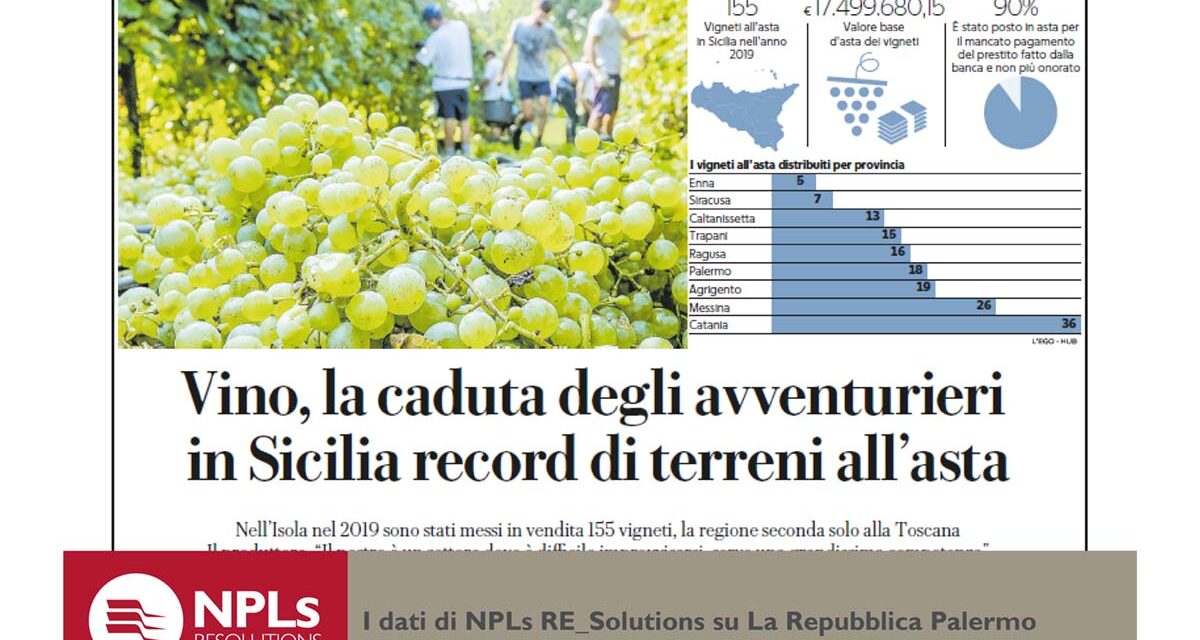 155 i vigneti all’asta in Sicilia nel 2019