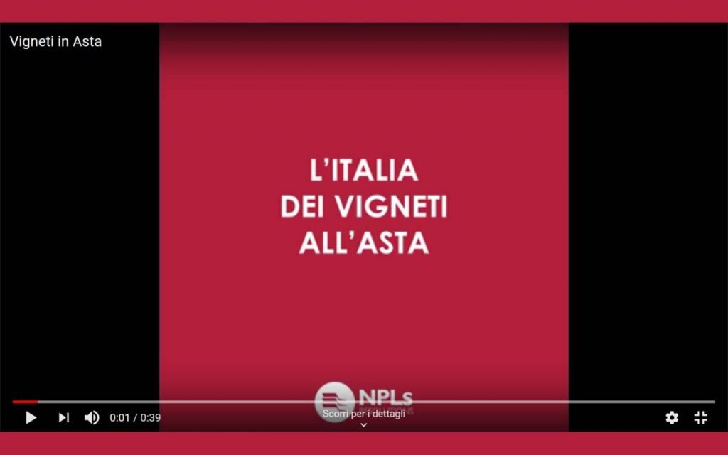 L’Italia dei vigneti all’asta